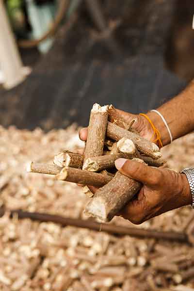 Biomass Energy