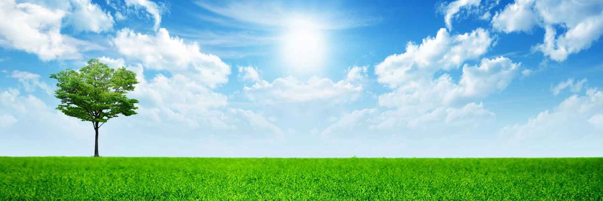 We Are Bio Fuel Lanka
